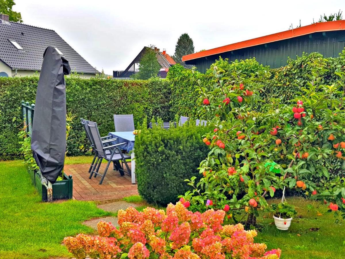 Fewo Gademow Parchtitz Exteriör bild